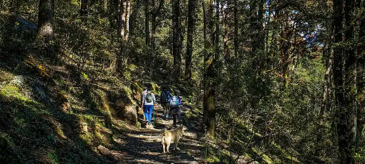 Dayara Bugyal Trek